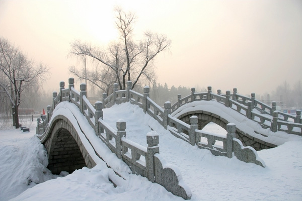 Bridge Ice Sculpture